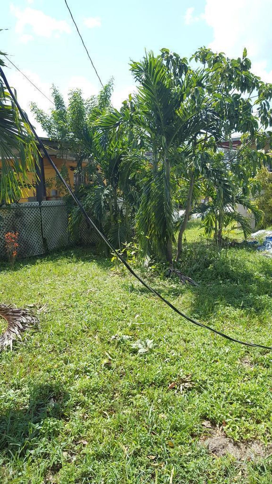 O.J. Callahan of Miami Gardens says a power line has been down in his neighbor’s yard since Sunday. He and his neighbor have reported it multiple times, he said.