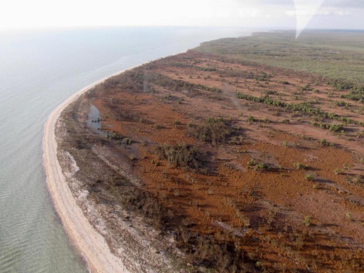 Hurricane Irma washed dead seagrass far inland on the northwest side of Cape Sable in Wracksin Everglades National Park.