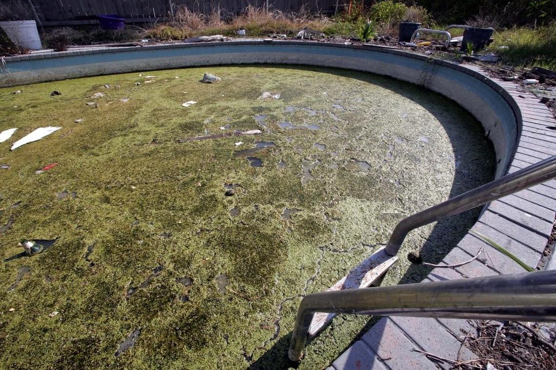 A swimming pool in the backyard of a home is filled with storm debris and stagnant water in New Orleans after Hurricane Katrina.