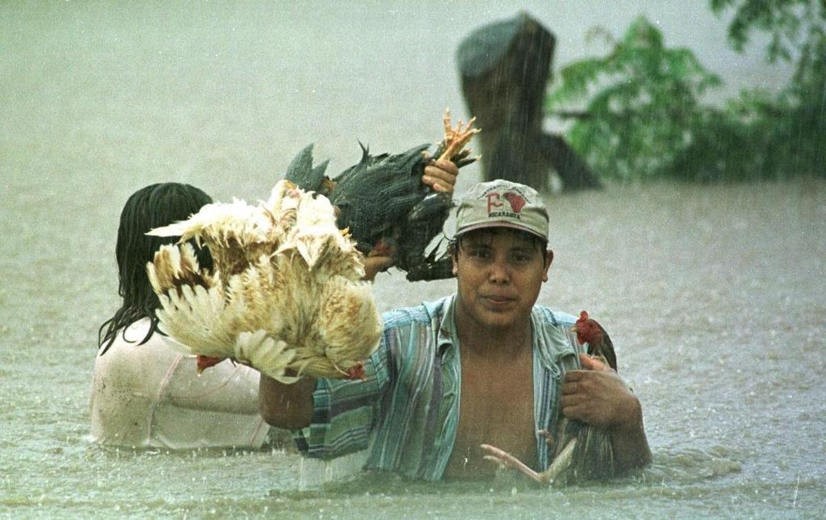 In 1998, Jorge Martinez (right) helped his neighbor rescue chickens in Puertas Viejas, Nicaragua, after Hurricane Mitch dropped more than 60 inches of rain. The storm was blamed for killing at least 11,000 people in Central America.