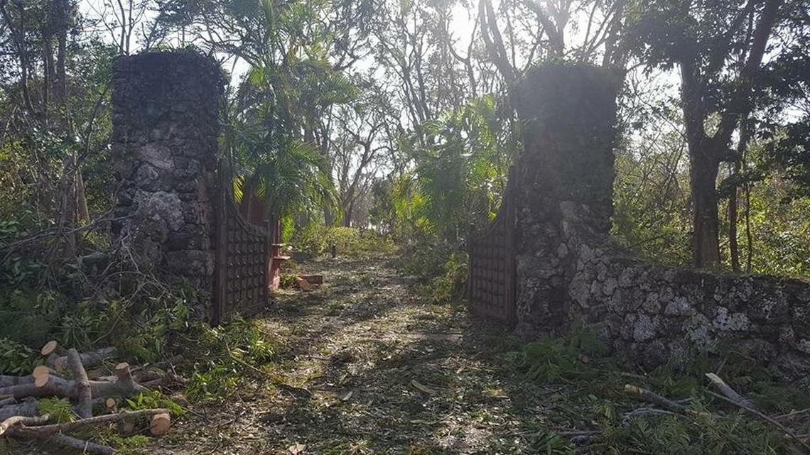 The main gate to the Deering Estate. Most of the damage was to the tree canopy.