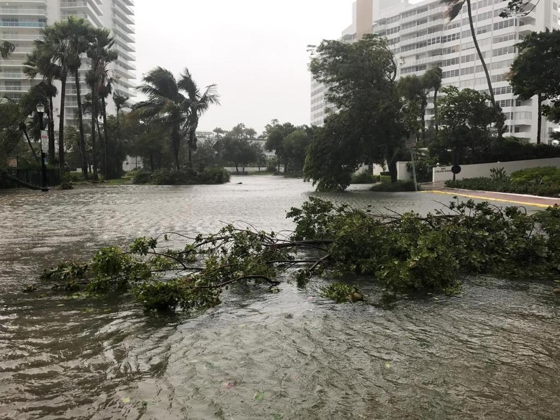 Flooding and downed trees and branches will make it difficult for many people who evacuated to return to their homes.