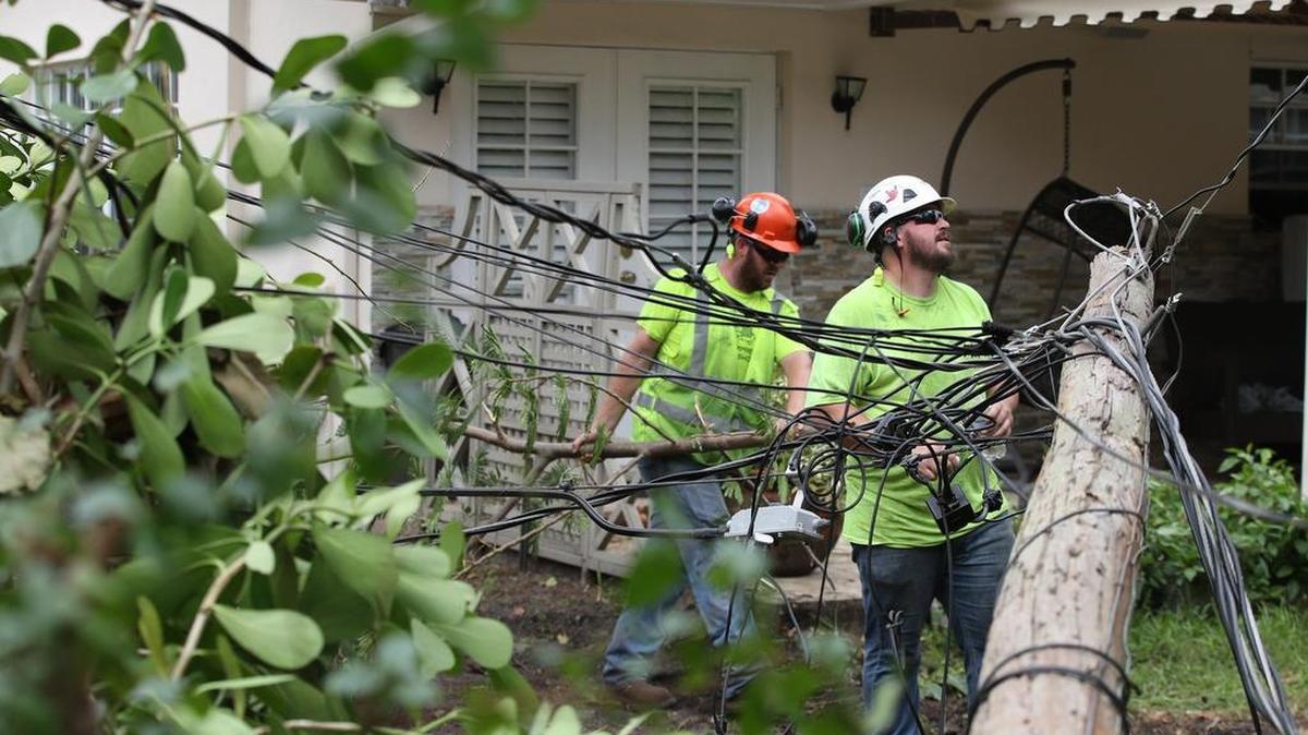 Trabajadores de servicios públicos inspeccionan n líneas eléctricas derribadas por árboles y ramas en Coral Gables el sábado 16 de septiembre de 2017.