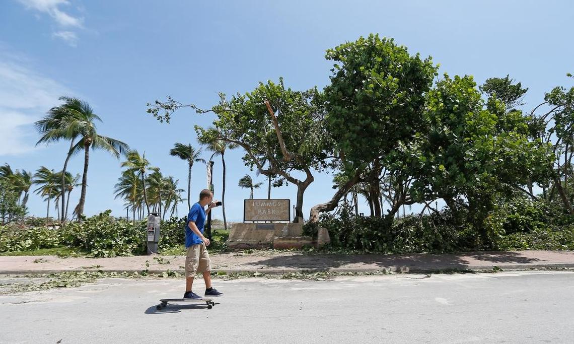 A man skateboards while snapping a picture of a fallen tree at Lummus Park in the Hurricane Irma aftermath on Monday, September 11, 2017, in Miami Beach.