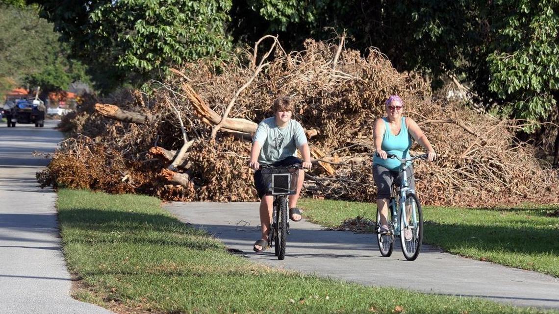 Jana Armstrong and her son Samuel, 15, ride their bikes around the fallen trees that block the bike path at the corner of Curtiss Parkway and Deer Run Road in Miami Springs on Monday, Sept. 18, 2017. Hurricane Irma caused the debris.