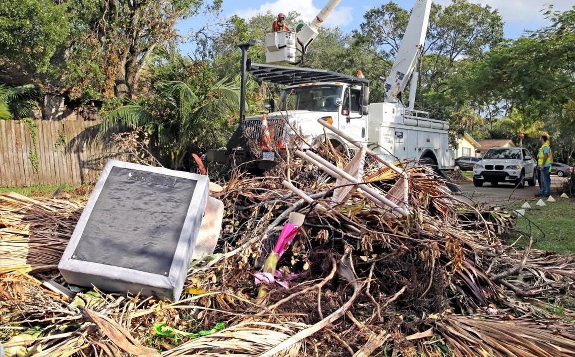 Tree trimmers work along Southwest 14th Avenue in Fort Lauderdale on Monday to remove limbs damaged during Hurricane Irma.
