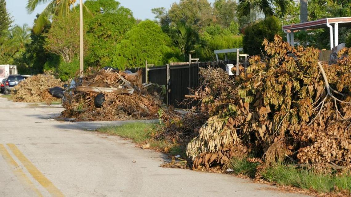 Big piles of tree debris line the roads near Northwest 106th Street and Fifth Avenue just west of Miami Shores, Monday, Sept. 18, 2017.