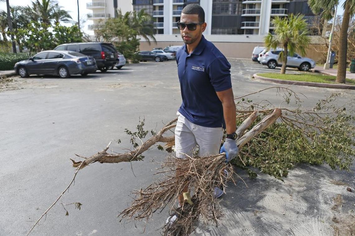 Alex Matos, an employee in Miami Beach’s marketing department, removes debris at Allison Park.