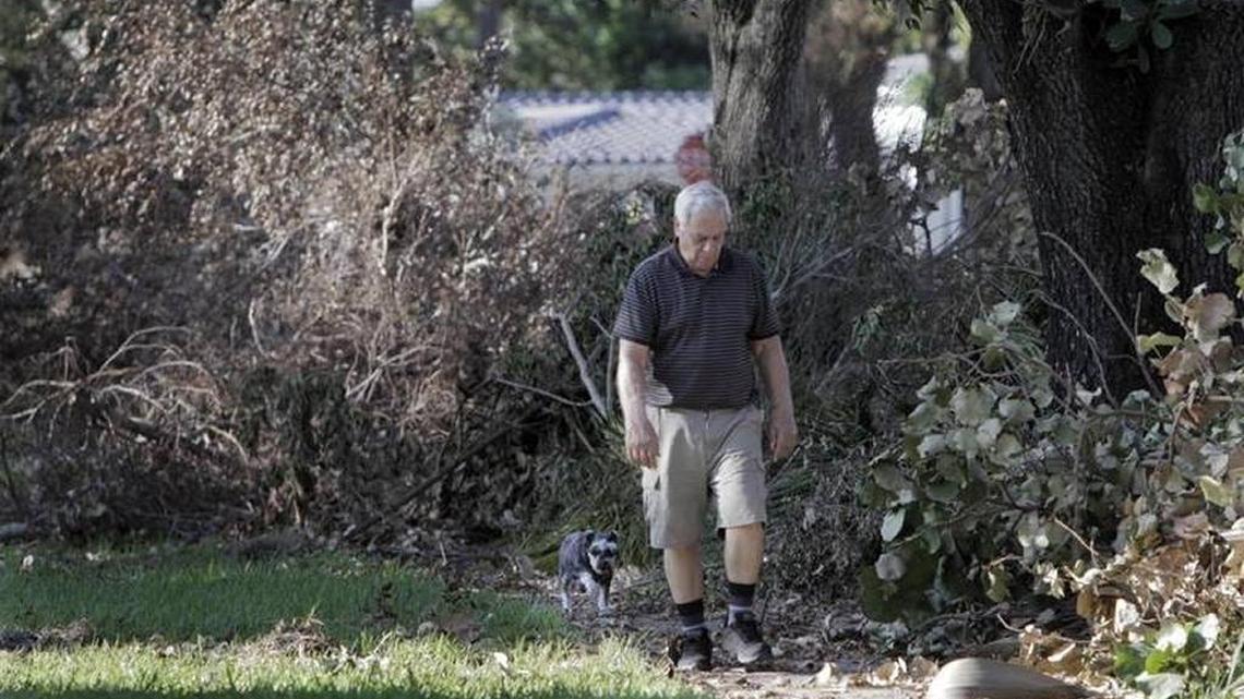Miami Lakes, Florida - September 18, 2017- Roberto Aguirre and his dog Hanna walk along Lake Saran street in Miami Lakes surrounded by dead branches courtesy of Hurricane Irma.