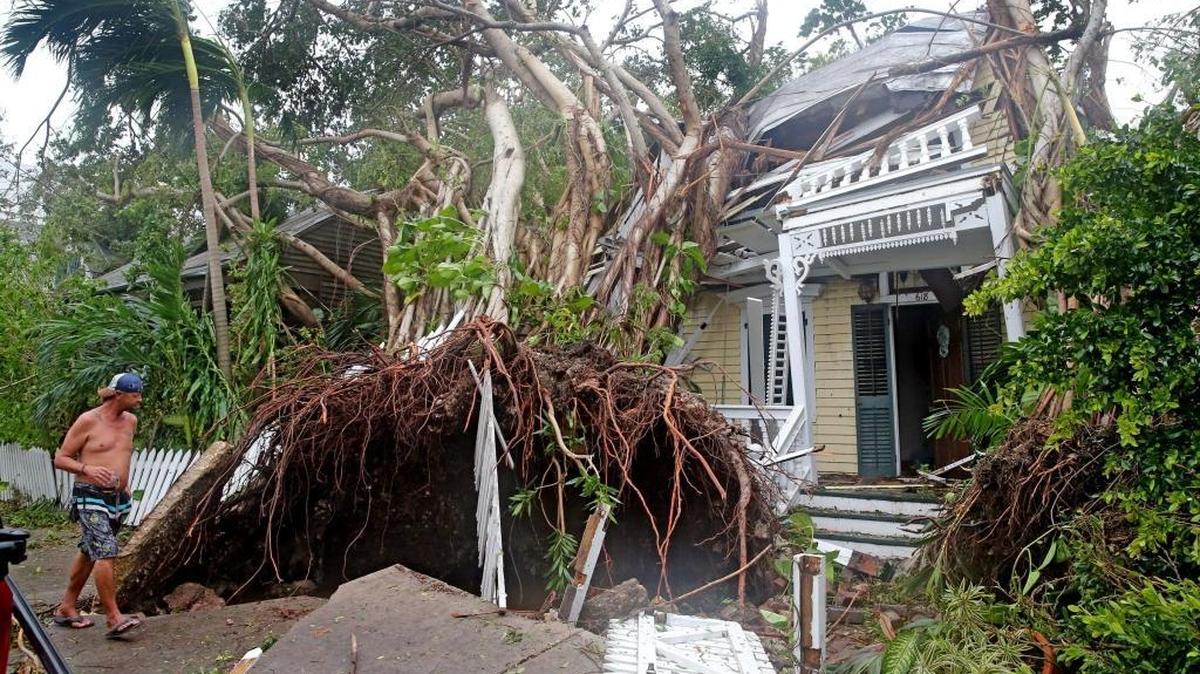 Robert Phillips looks at his neighbor’s house on Williams Street in Key West, a tree crushed the house as Hurricane Irma passed over the island, September 10, 2017.