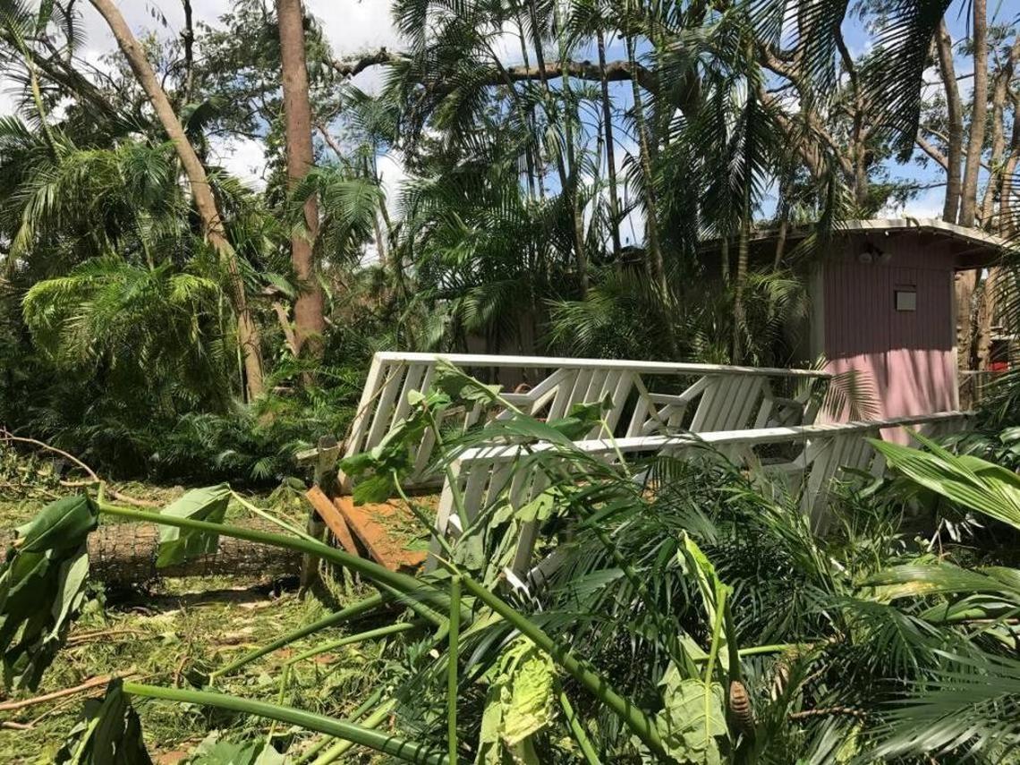 Cauley Square’s tree canopy was completely destroyed by Hurricane Irma. This is a view of the village’s Christ garden and bathroom area on Monday, Sept. 11, 2017.