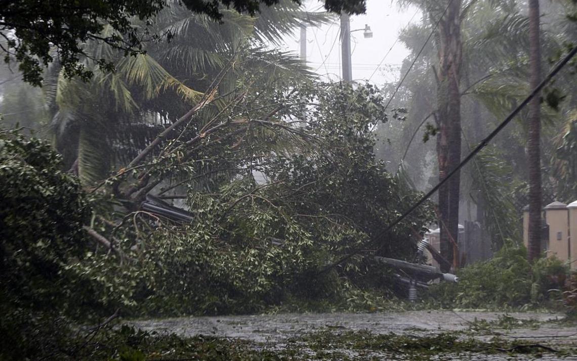 Fallen trees and electric utility poles are seen around Coconut Grove as Hurricane Irma's heavy winds pounded South Florida on September 10.