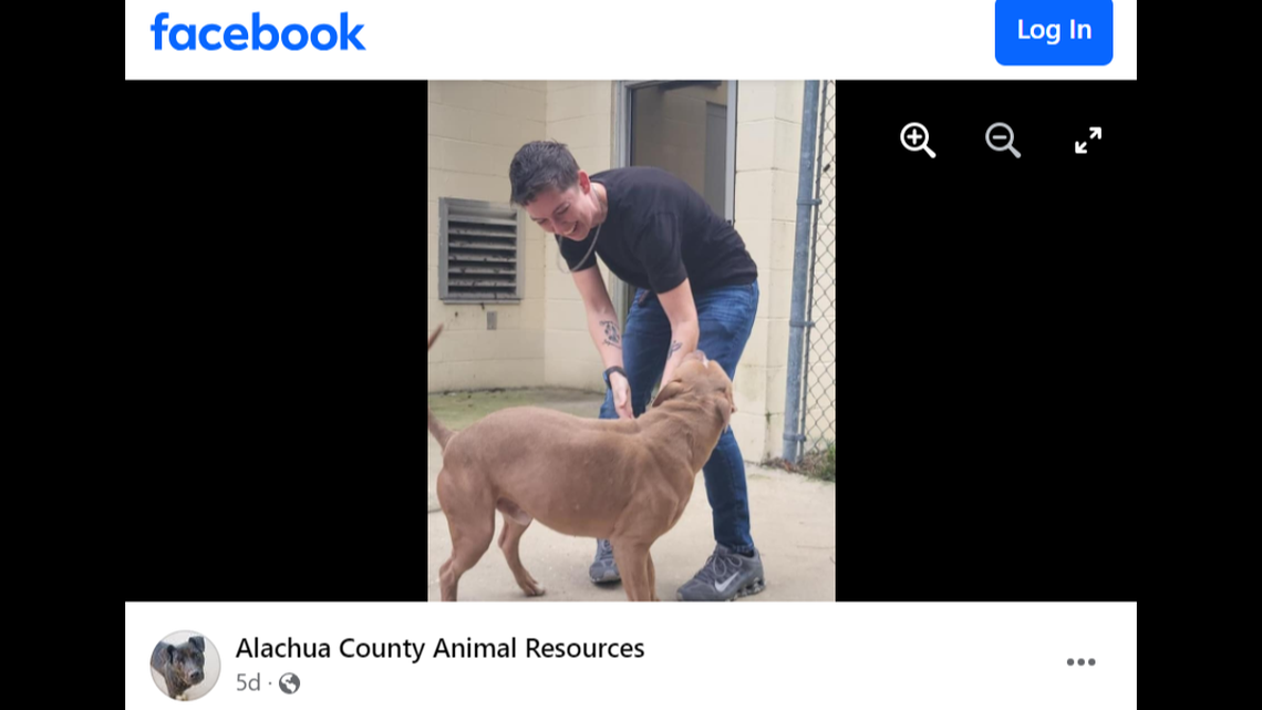 The dog got a new home after a reunion in Florida, an animal shelter said.