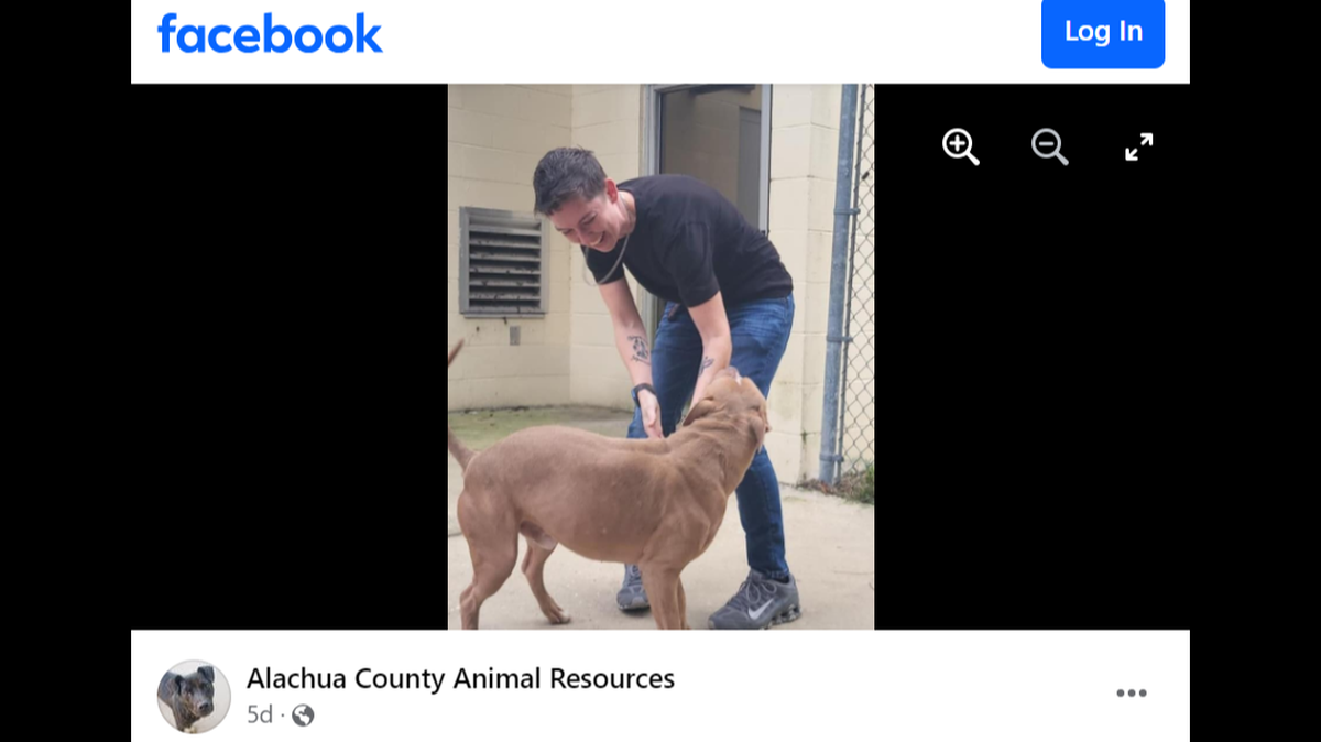 The dog got a new home after a reunion in Florida, an animal shelter said.