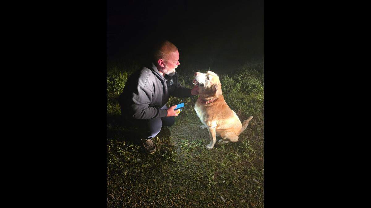 A lost dog was found safe after a tornado struck his Mississippi home, rescuers said.