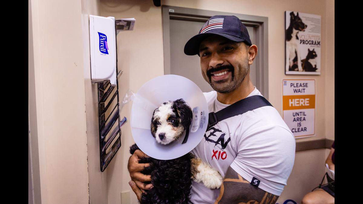Three puppies got new homes after being rescued from a locked car, officials said.