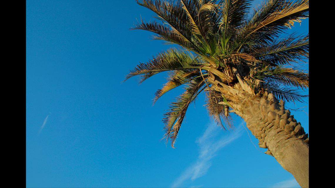 Leesburg is one of five Florida destinations to rank in the top 10 on the national list.