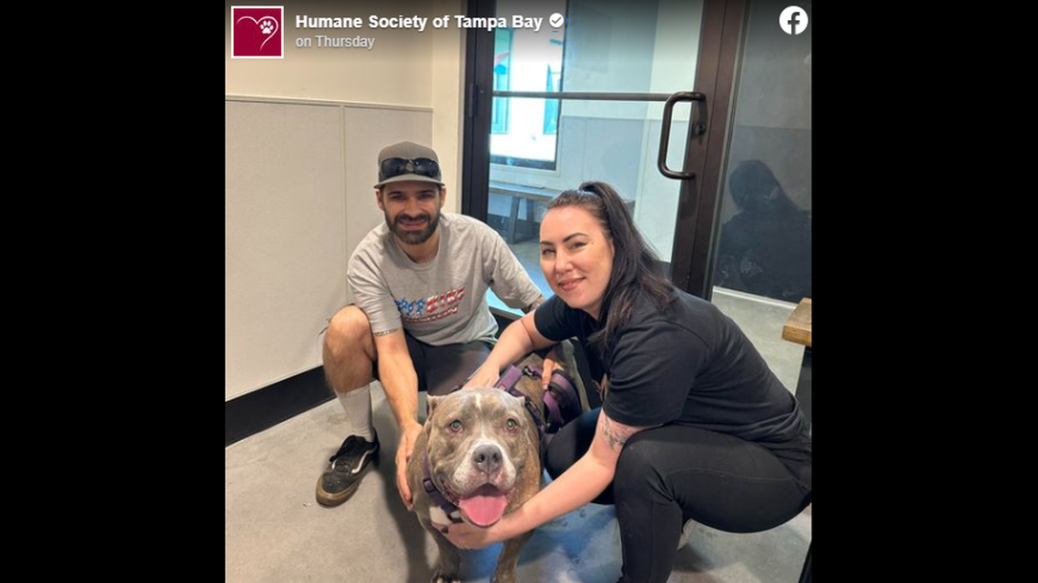 Priscilla the Florida pup has loving owners after getting a “rough start” to life, officials said.