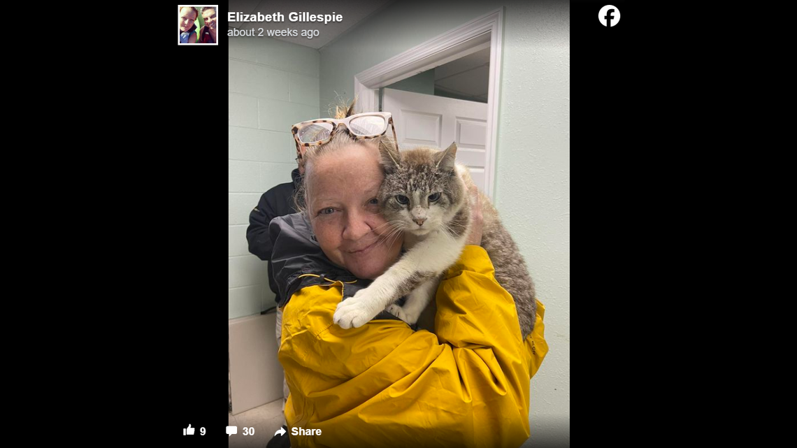 Kevin Durant, a cat missing since 2017, had a long-awaited reunion with his Georgia owner.