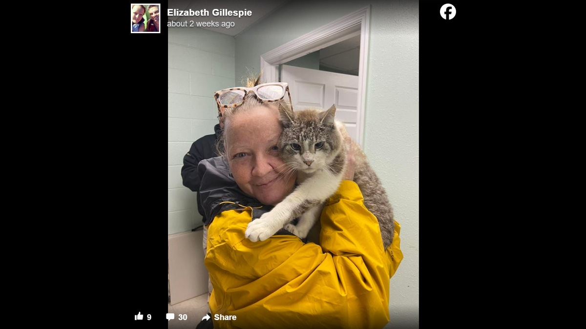 Kevin Durant, a cat missing since 2017, had a long-awaited reunion with his Georgia owner.
