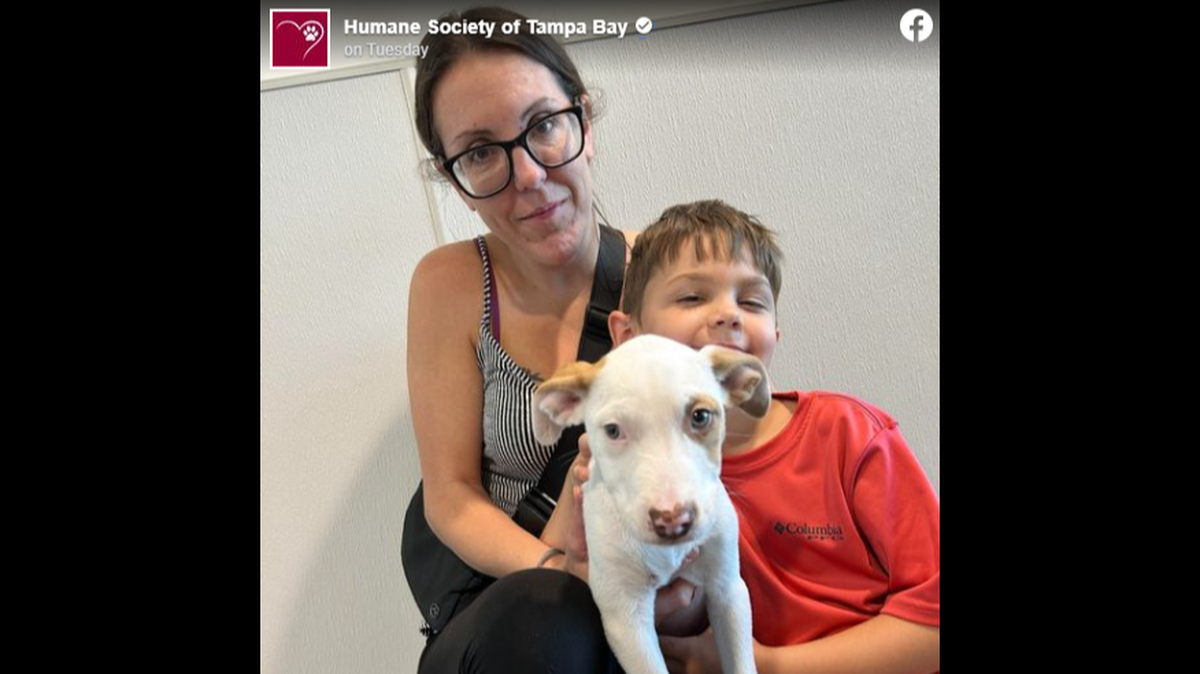 Tanner the dog will play a big role in the future, a Florida animal shelter said.