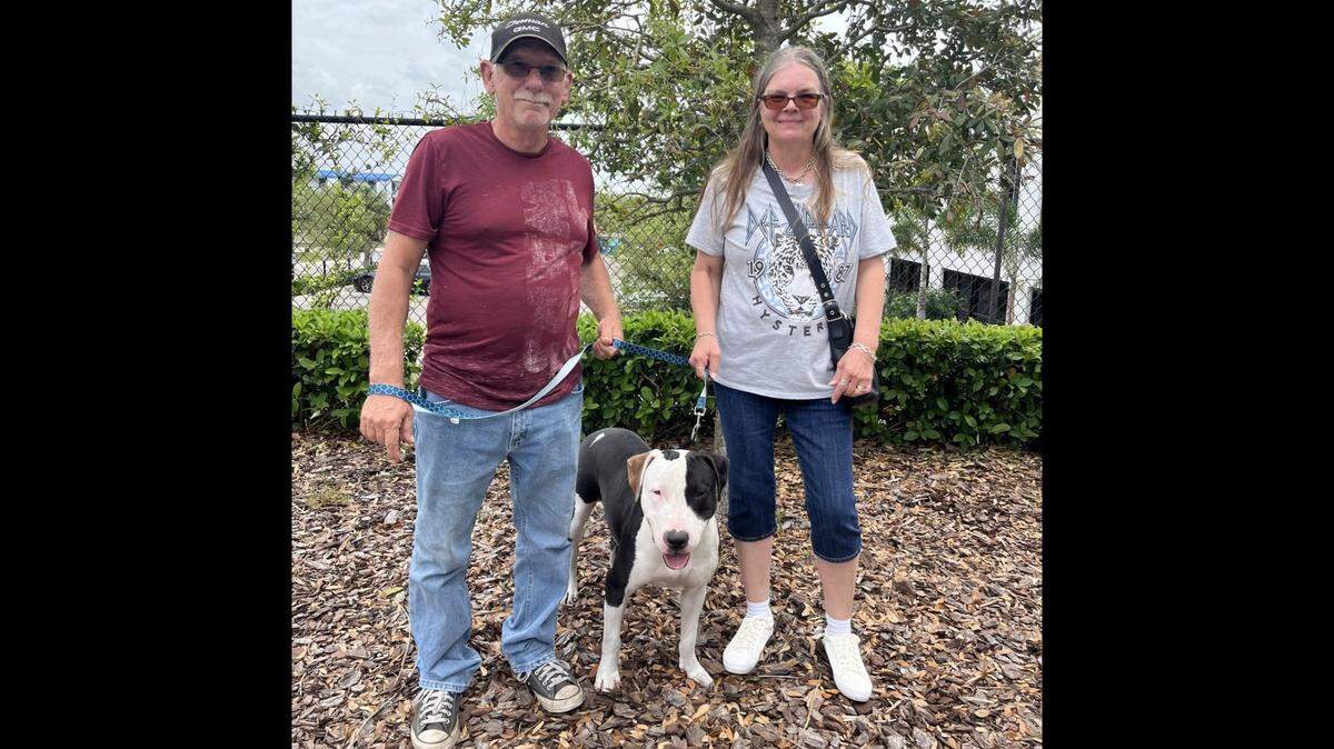 A Florida dog needed a new home, then he got a second chance.