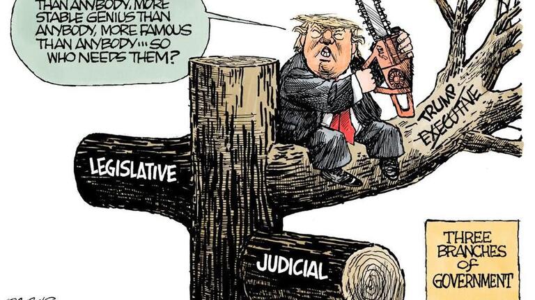 Chainsaw massacre