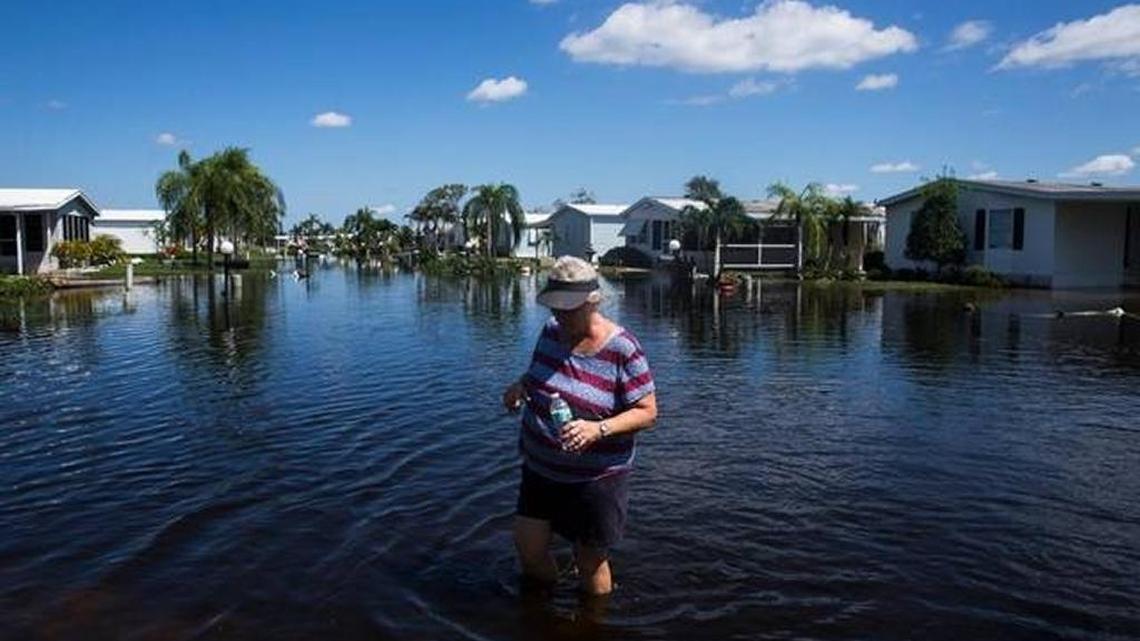 Lana Gruver walks through knee-high water on her street in Bonita Springs after Hurricane Irma.