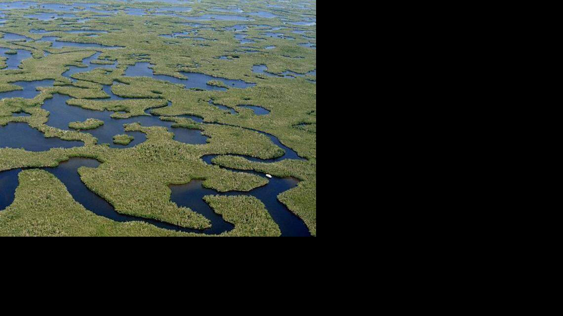 
Inlets in Florida Everglades National Park. 



