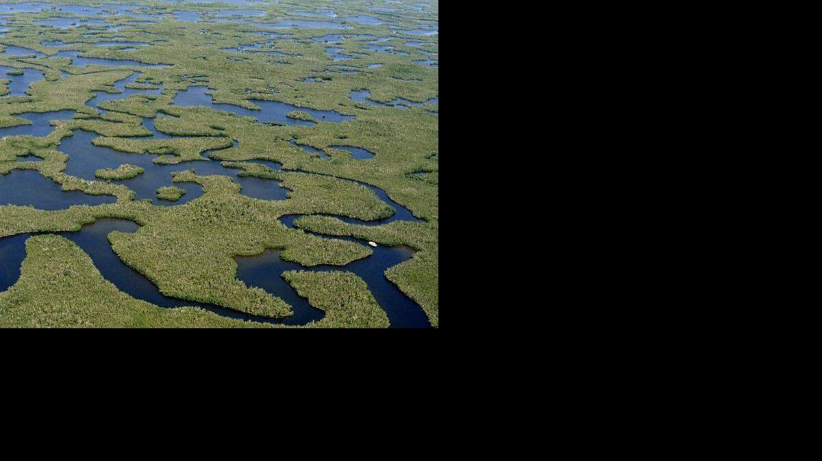 
Inlets in Florida Everglades National Park. 



