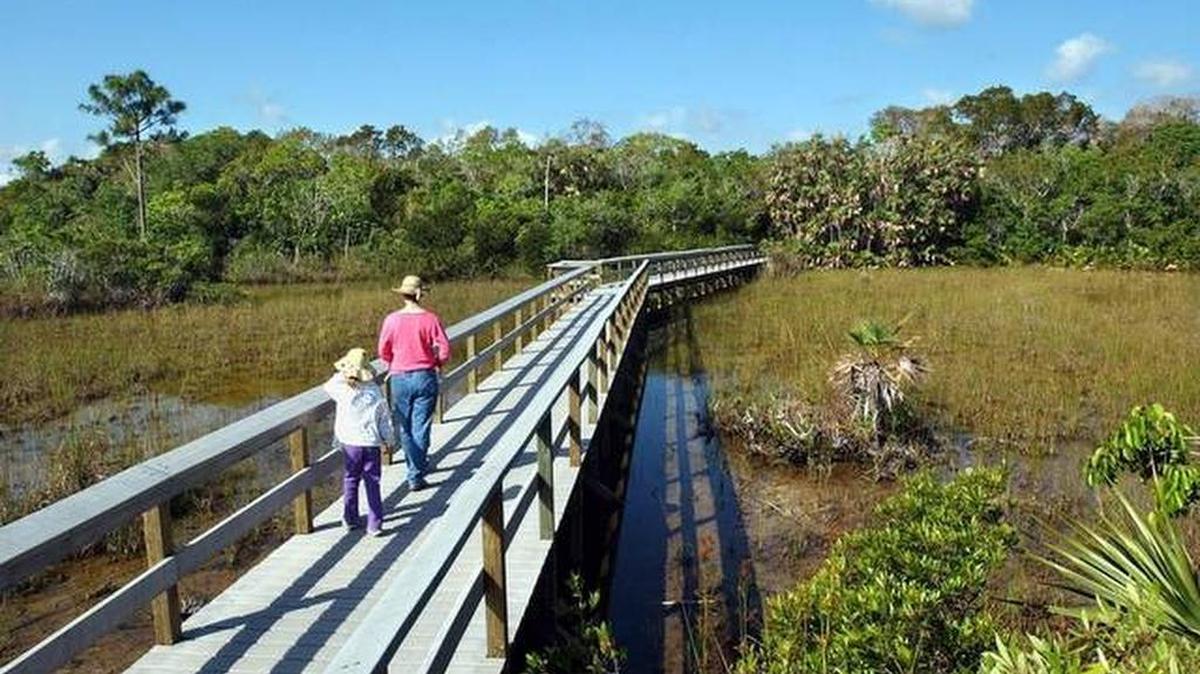 Visitors enter Mahogany Hammock in Everglades National Park.