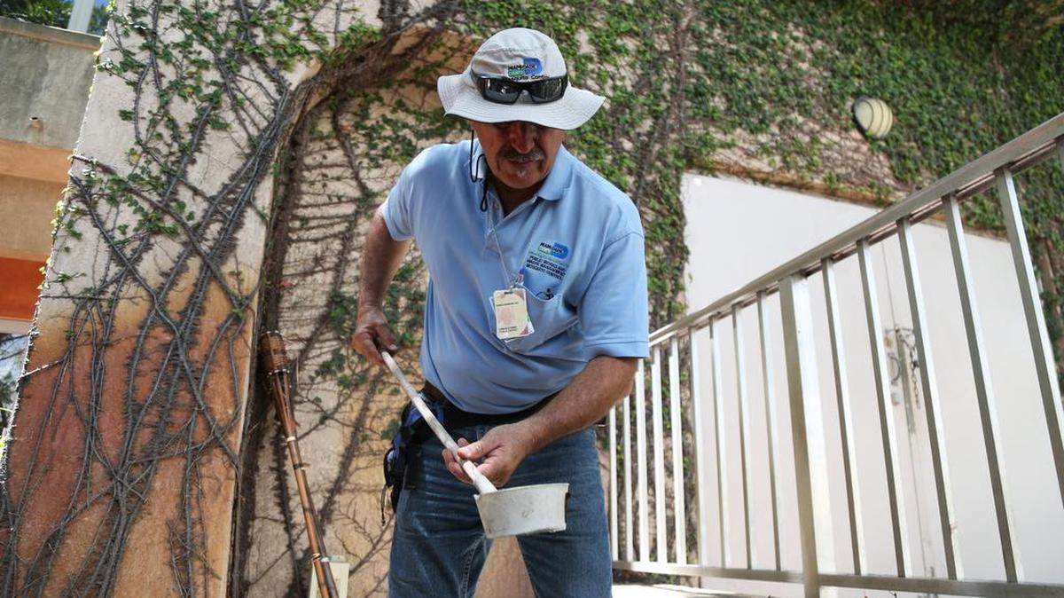 A local mosquito control worker searches for larvae in standing water in Miami's Coconut Grove neighborhood.