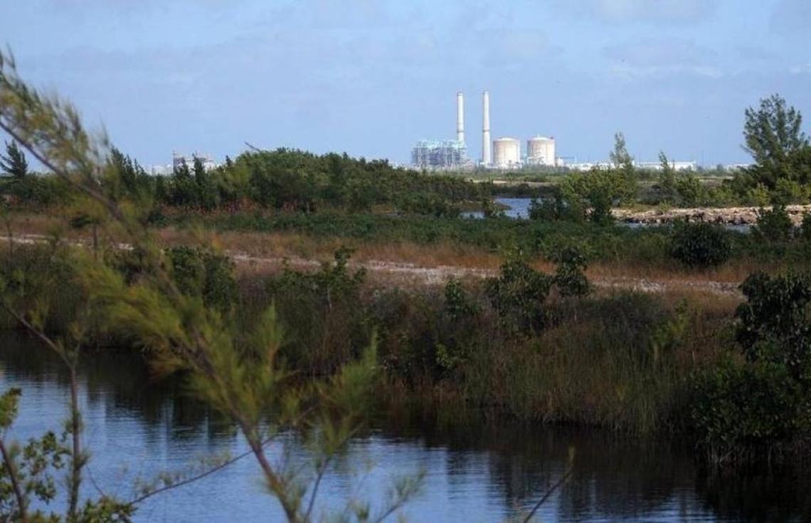 Cooling canals, with Turkey Point nuclear power plant in the background.