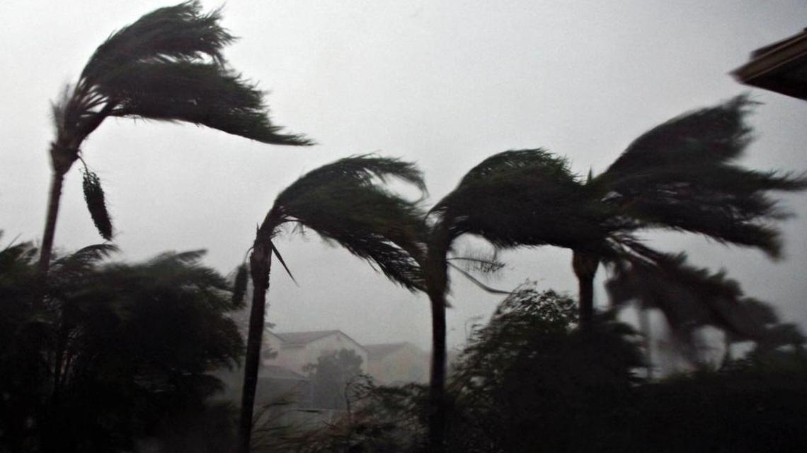 Palm trees bending in the wind, like these in Plantation during Hurricane Wilma in 2005, are a common sight during such storms.