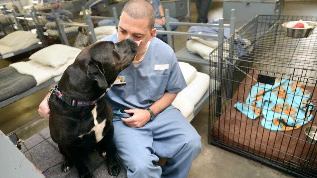 Joseph Machado, an inmate at Walton Correctional Institution in DeFuniak Springs, is one of 18 training dogs for adoption.
