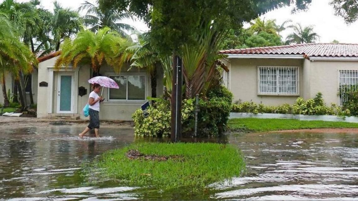 In August, 2017, a woman walks along a flooded sidewalk along Alton Road near Michigan Avenue in Miami Beach. New research from NOAA suggests this kind of flooding could happen every day by 2070 under most climate models.