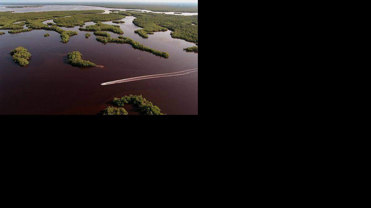 
A lone boat navigates the wilderness of the Ten Thousand Islands in Everglades National Park, which would benefit from Amendment 1 funding.

