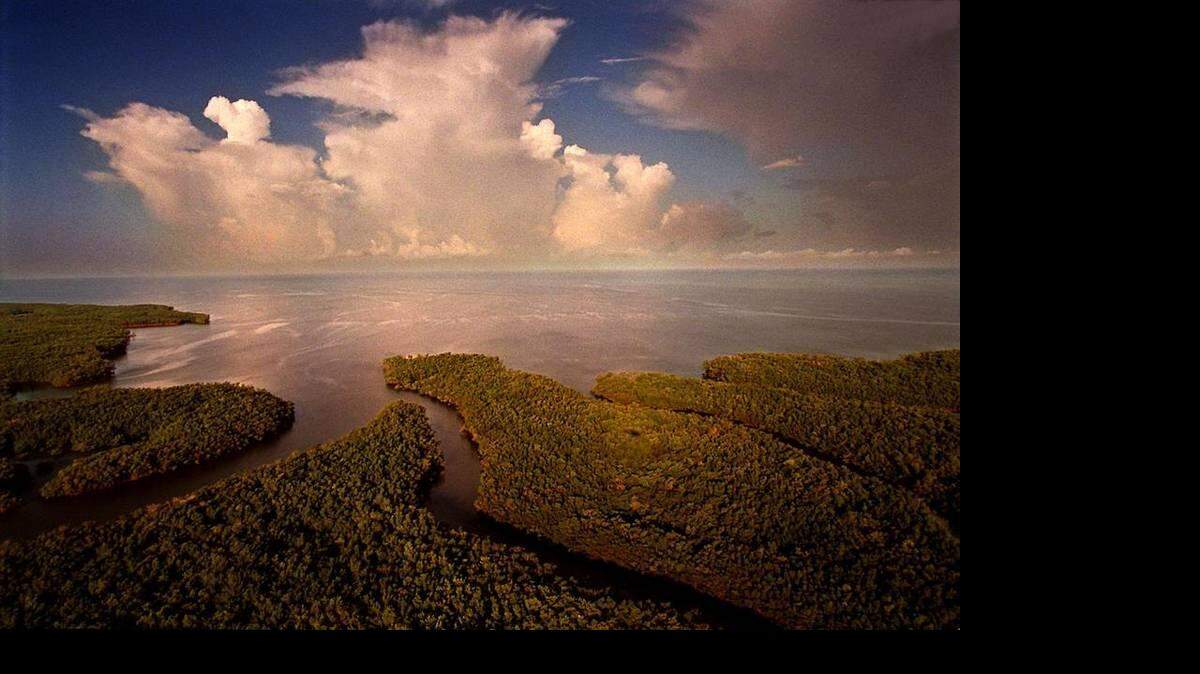 
President Barack Obama will visit the Florida Everglades on Earth Day. 

