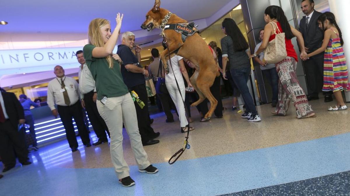 Amber Oliver, 24, performs a trick with her dog, Oakley, during the grand opening of the Miami-Dade Animal Services shelter in Doral.