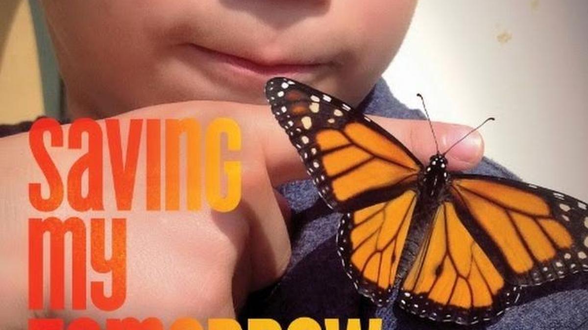 
MONARCH CHAMPION: Daniel Bravo, 10, wants to help sustain butterflies.
