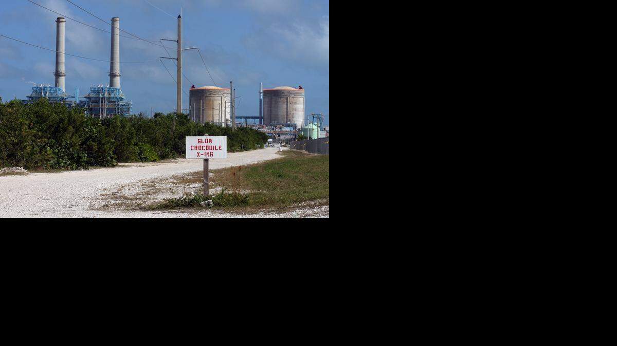 
TURKEY POINT: The FPL nuclear plant in southeast Miami- Dade County is a major power generator in this part of the state.
