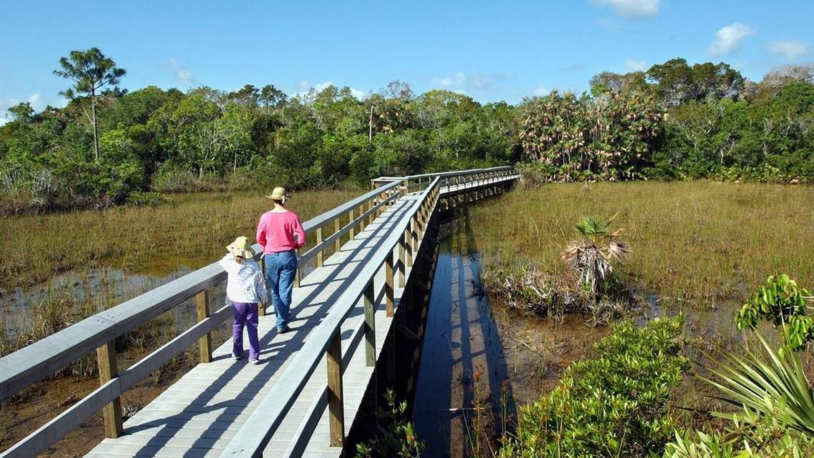 Visitors enter Mahogany Hammock in Everglades National Park. Legislation that would help to restore the Everglades is pending in Congress.
