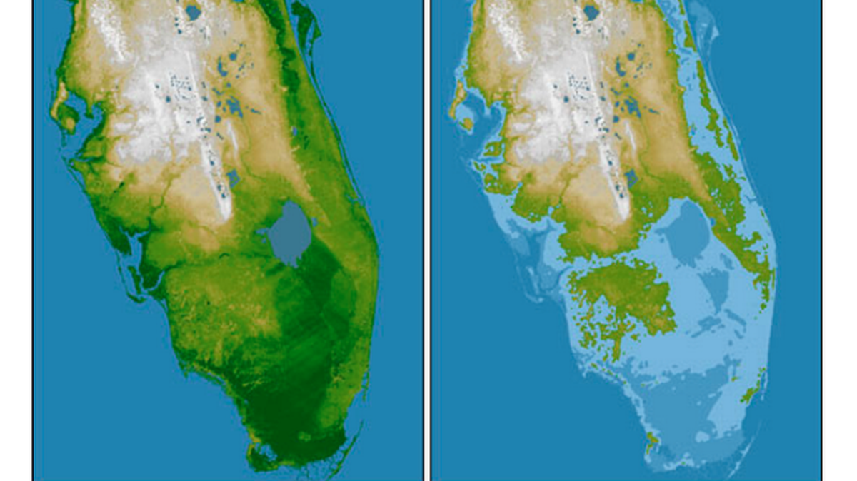 This map shows what Florida will look like when the sea level rises.