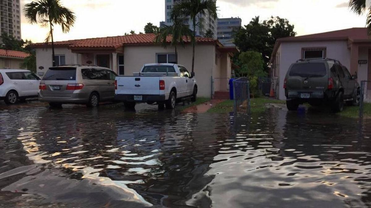 In Florida and Miami-Dade, the impact of climate change is evident in frequent street flooding during king tides.