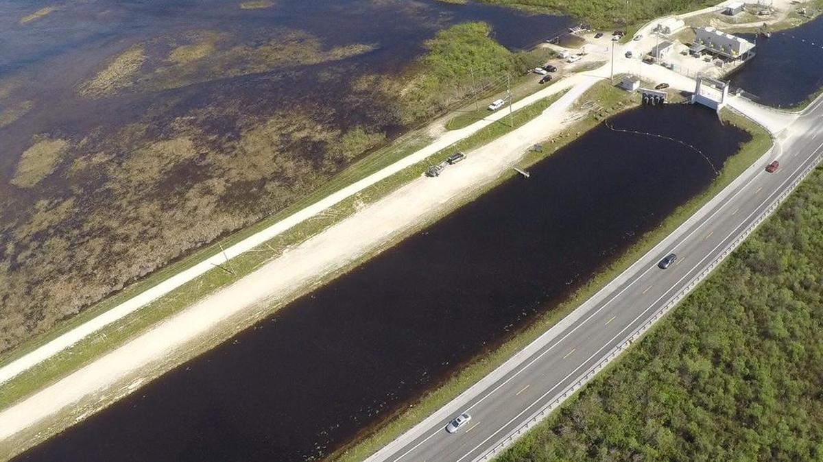 Record rains have raised water levels in Lake Okeechobee and filled water conservation areas, like this marsh north of Tamiami Trail.