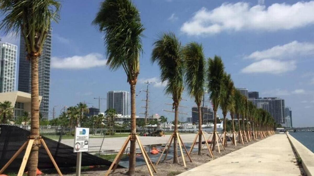 Parcel B, long undeveloped bayfront land behind the AmericanAirlines Arena, could be the site of the Cuban Exile History Museum.