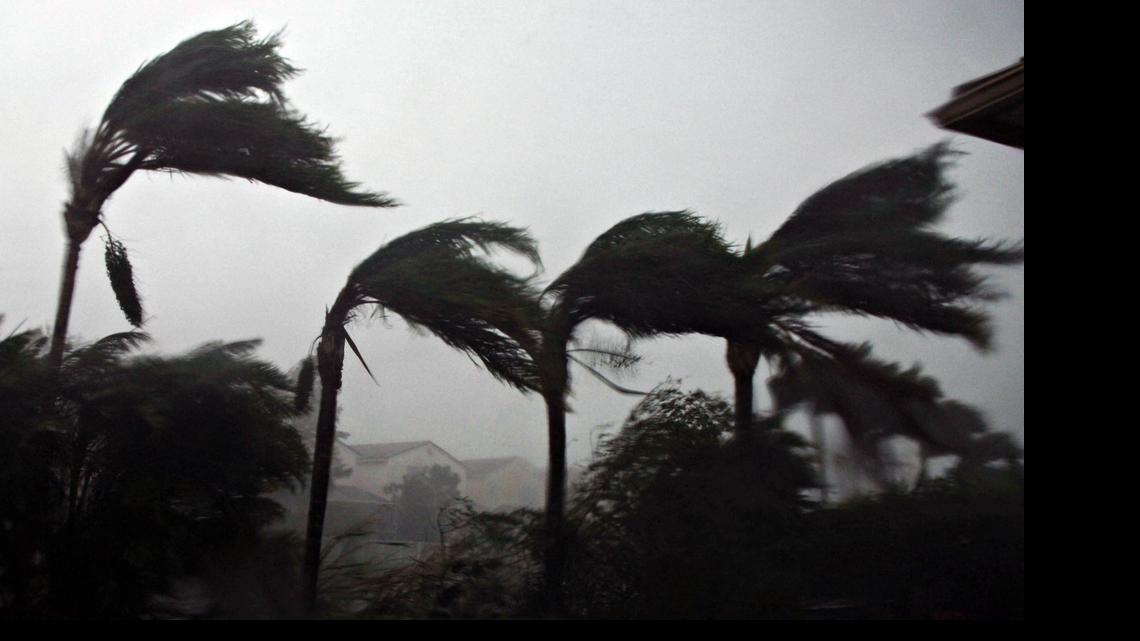
HURRICANE SEASON: Palm trees bend in the winds of Hurricane Wilma as the storm makes landfall in South Florida in October of 2005. It was the last major windstorm to hit the state. 
