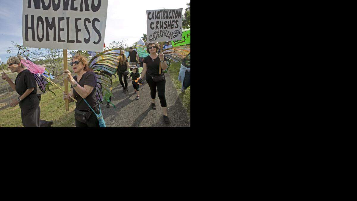 
RALLYING TOGETHER: Amy Werba, center, marches with others as environmental advocates protest planned development of a Walmart and an amusement park on pine rockland near Zoo Miami.

