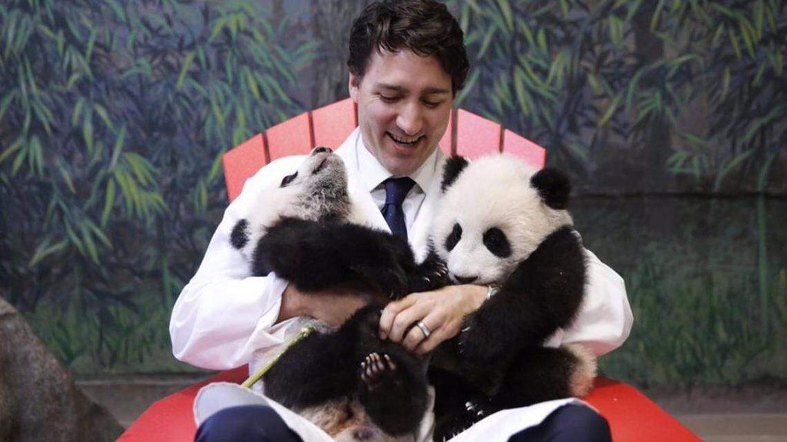 Canada’s Prime Minister Justin Trudeau brings hard-edged policy moves that belie his public persona.