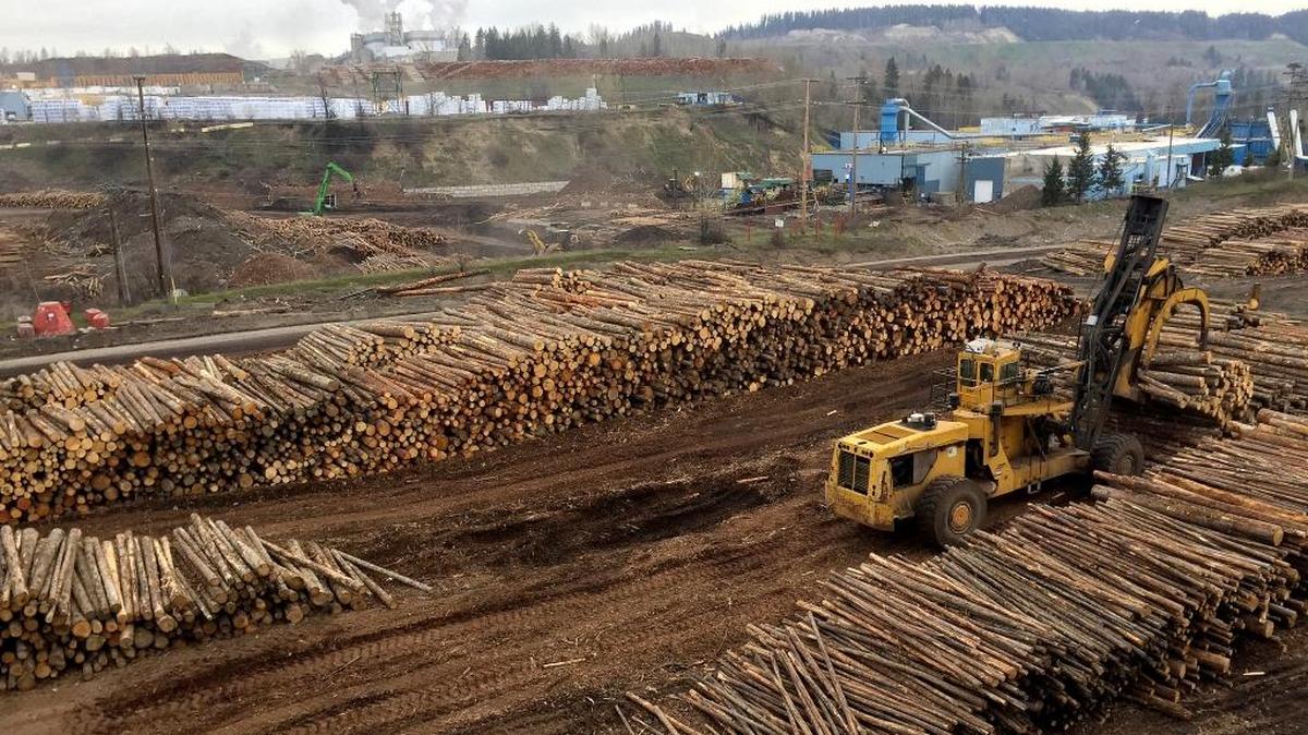 Logs are stacked recently at the West Fraser sawmill in Quesnel, B.C. The Trump administration’s new tariffs on Canadian lumber pose a threat to residents’ livelihoods.